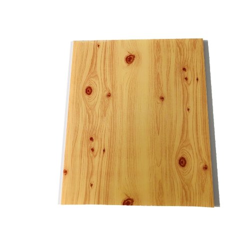 PVC CEILING - 5